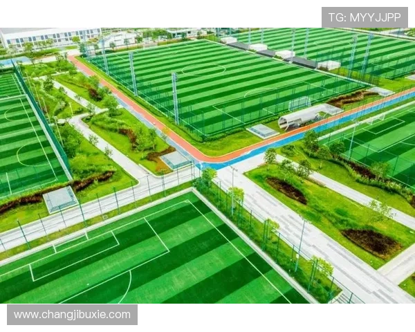 如何选择可靠的凯发体育游戏网址,保障你的安全与娱乐体验 如何选择可靠的凯发体育游戏网址,保障你的安全与娱乐体验