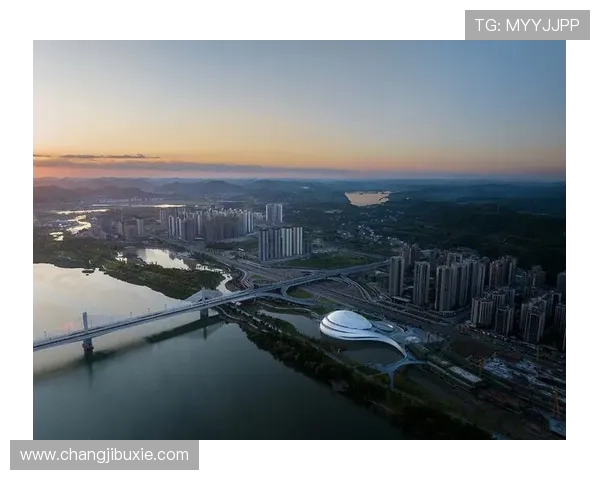 天生赢家的崛起之路：K8凯发在中国电竞市场的战略布局