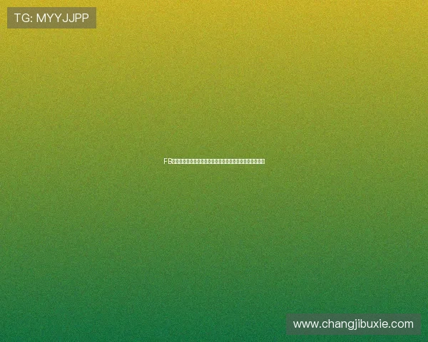 FB体育网页多平台兼容性分析让你随时随地畅享体育娱乐体验