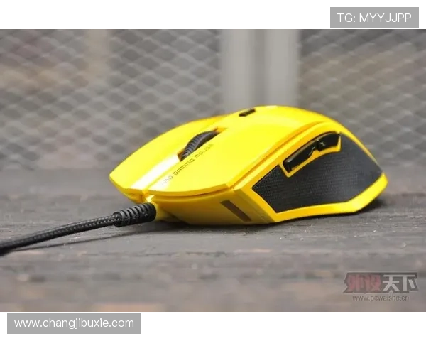 k8.com游戏资讯最新动态全面解析助你掌握第一手行业信息